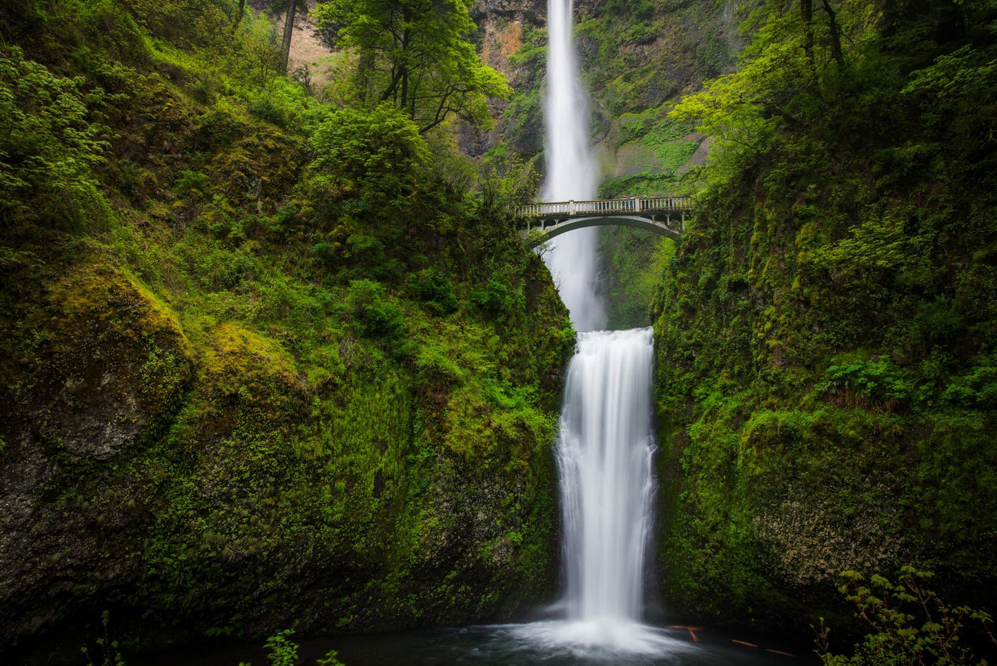 Multnomah II - Allie Richards Photography