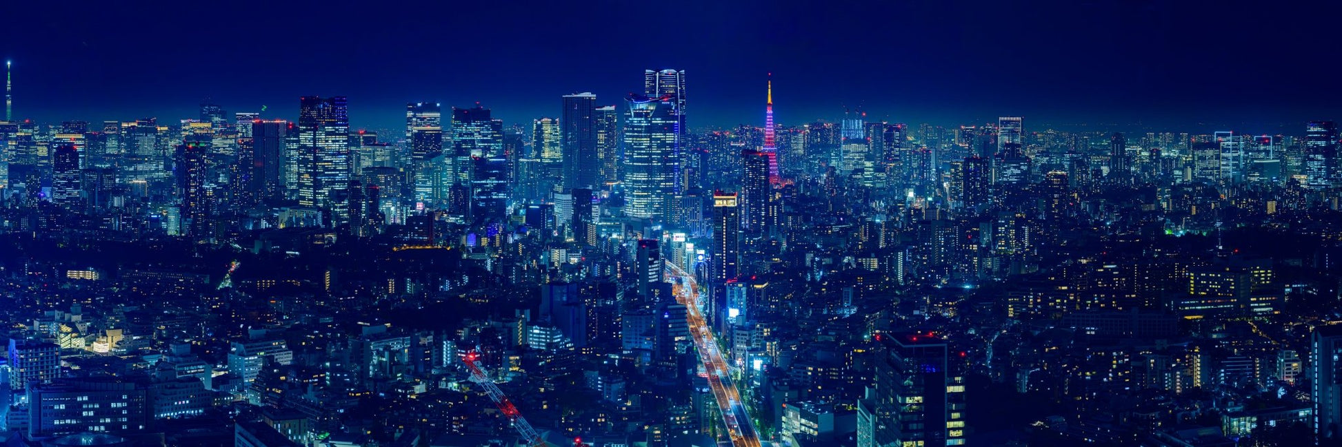 Night in Tokyo Panorama - Allie Richards Photography