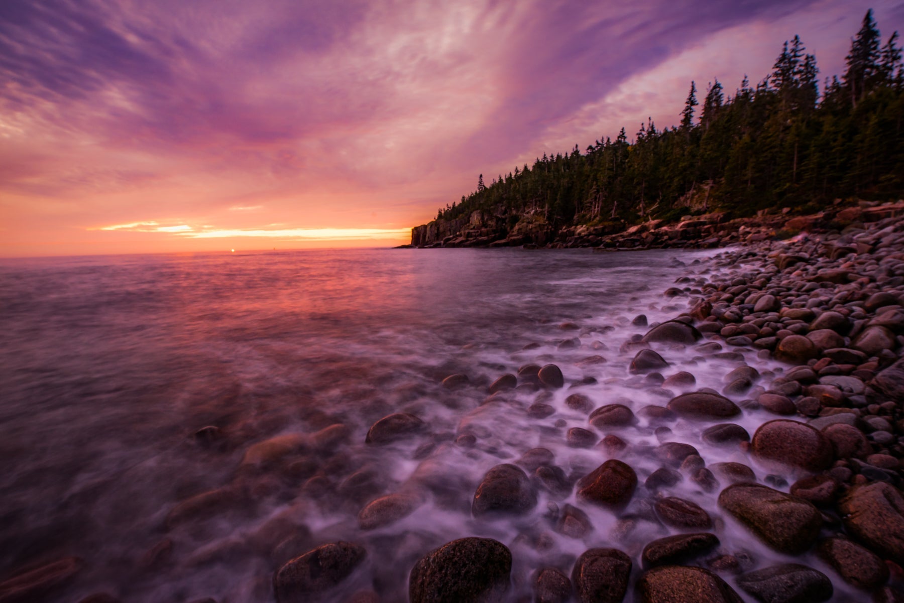 Otter Cliff - Allie Richards Photography