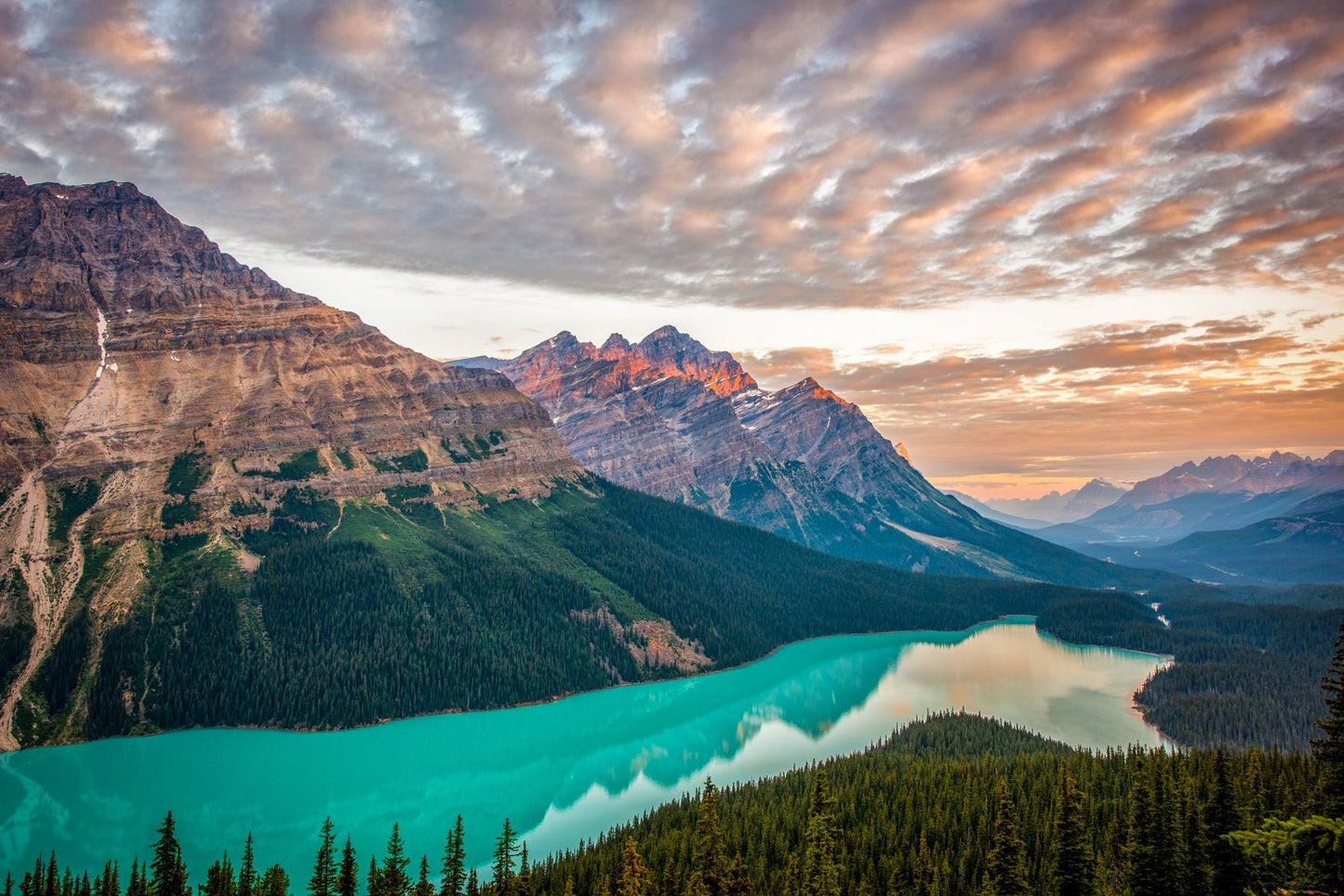 Peyto Lake - Allie Richards Photography