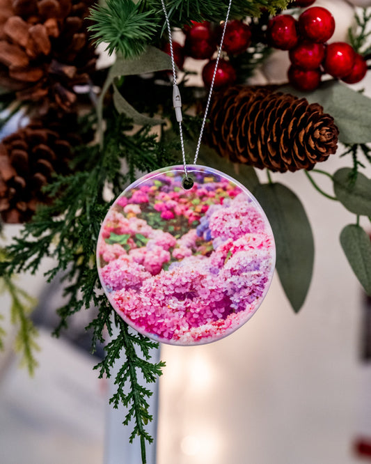 Pink Hydrangeas - Allie Richards Photography