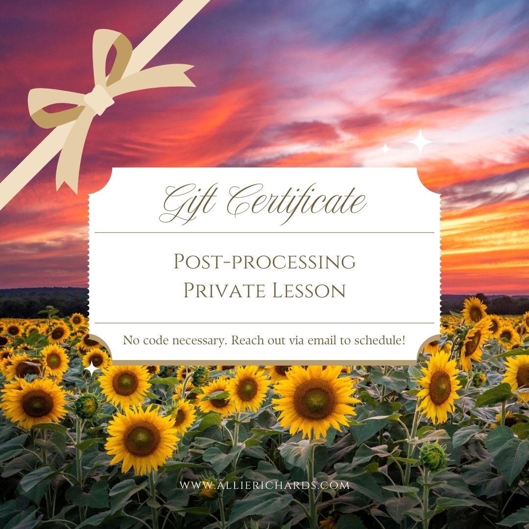 Post - Processing, Editing & Using Lightroom Session - Allie Richards Photography