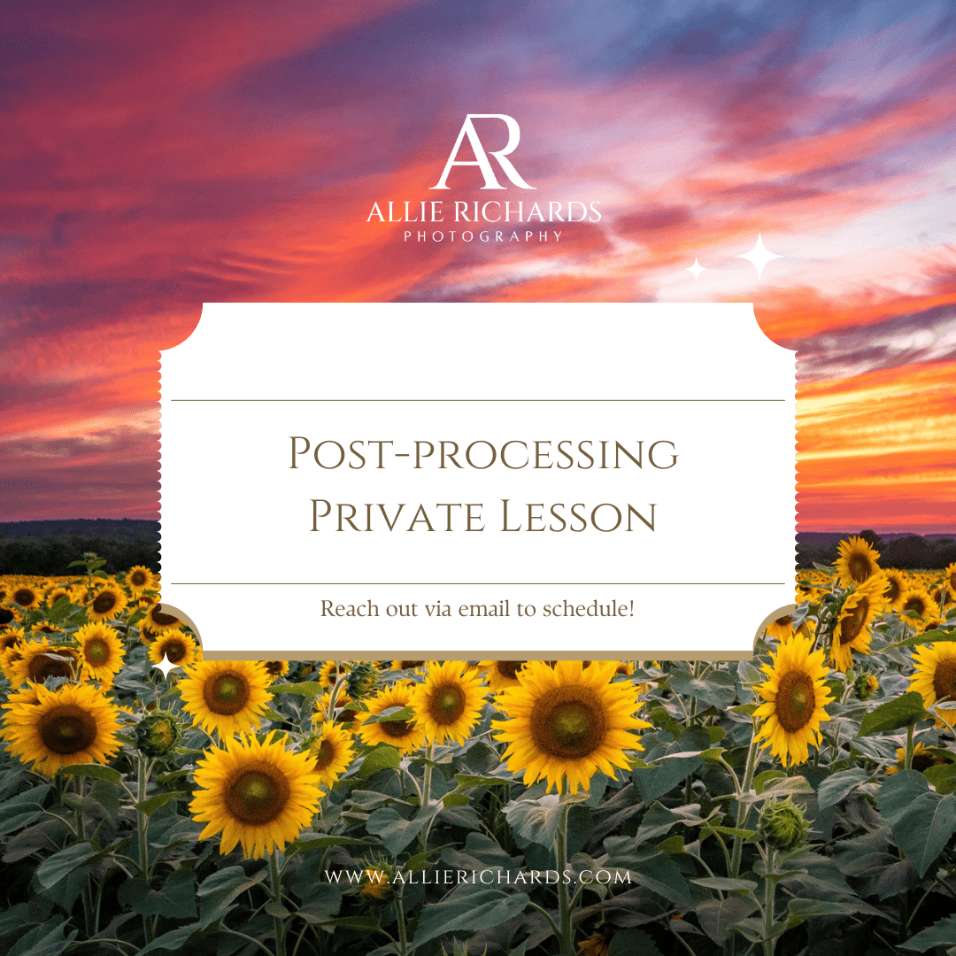 Post - Processing, Editing & Using Lightroom Session - Allie Richards Photography