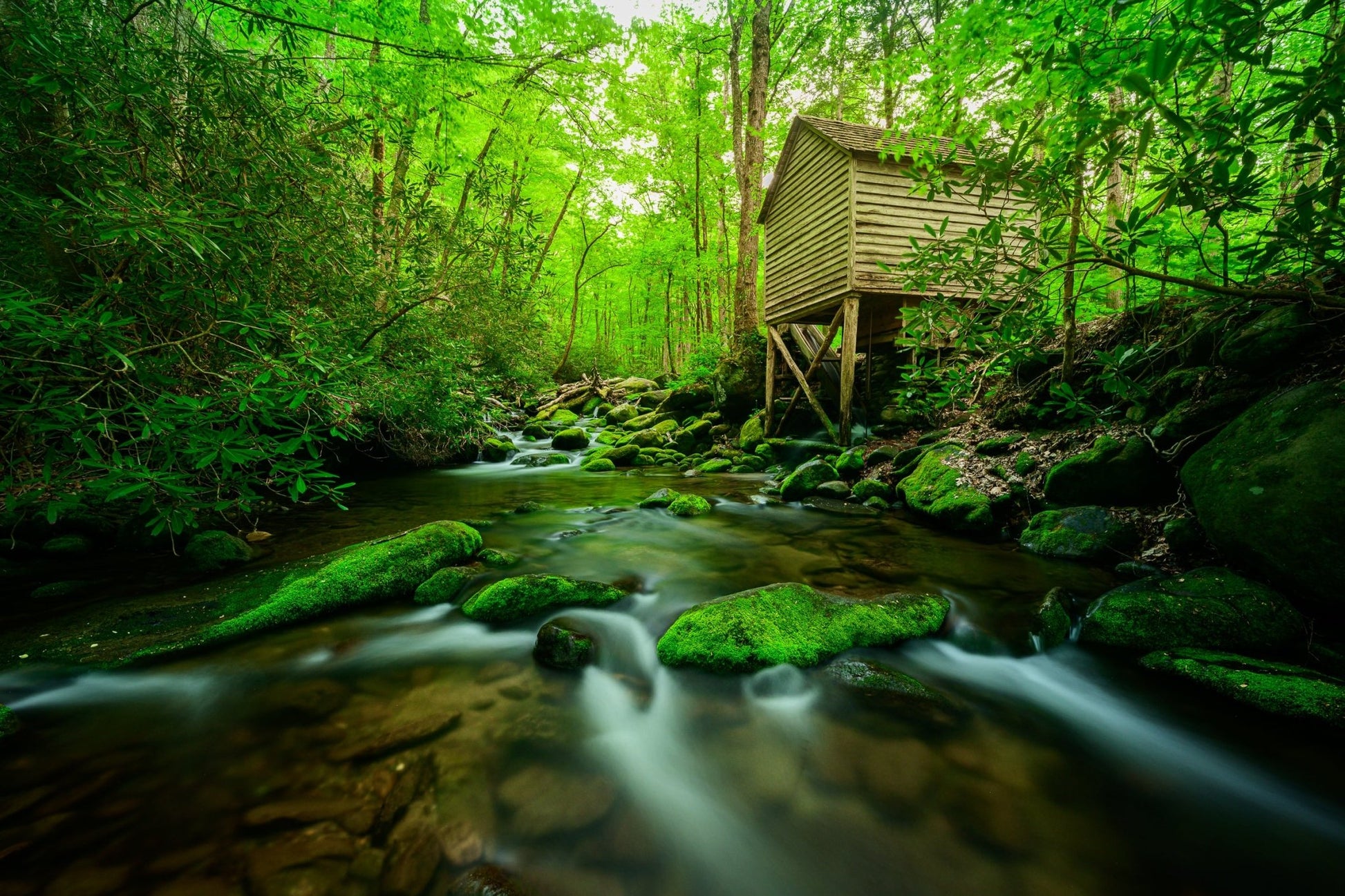 Roaring Fork - Allie Richards Photography