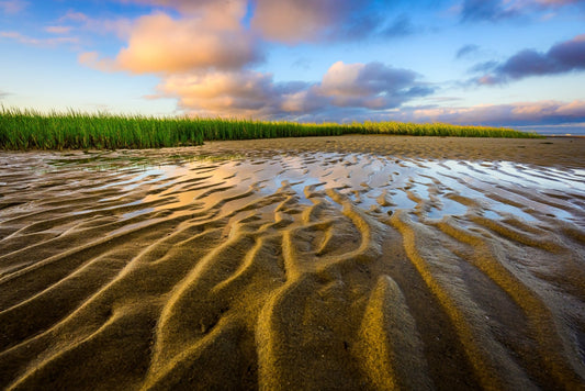 September on the Flats - Allie Richards Photography