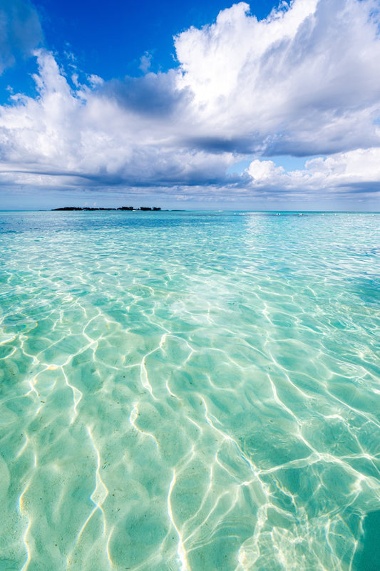 Shimmer - Allie Richards Photography