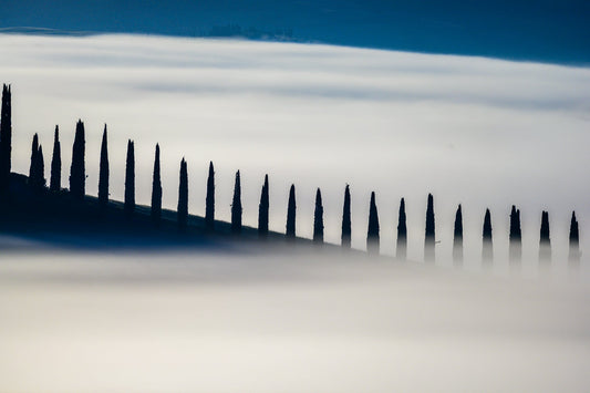 Stillness - Allie Richards Photography