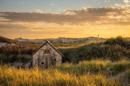 Summer in Provincetown - Allie Richards Photography