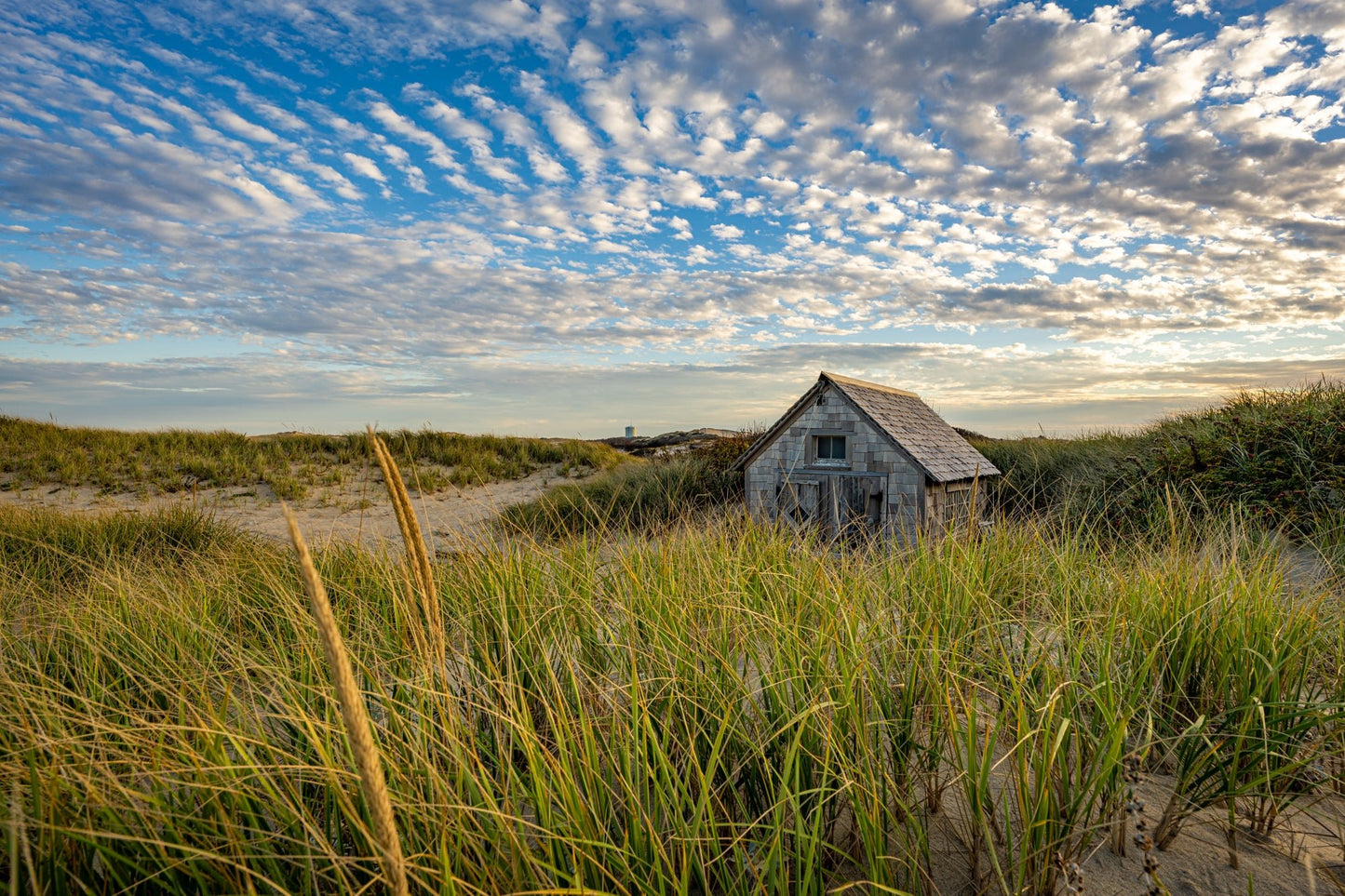 Summers End at the Shacks - Allie Richards Photography