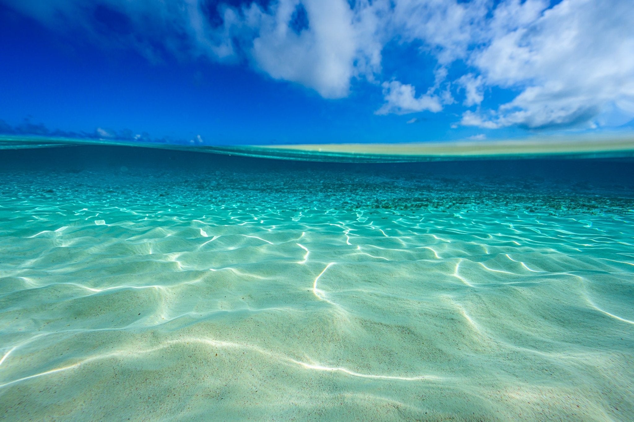 Sun Glitter - Allie Richards Photography