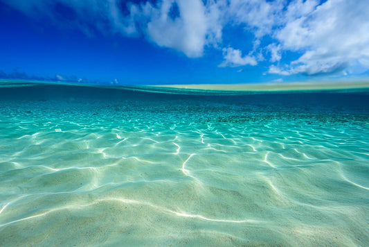 Sun Glitter - Allie Richards Photography