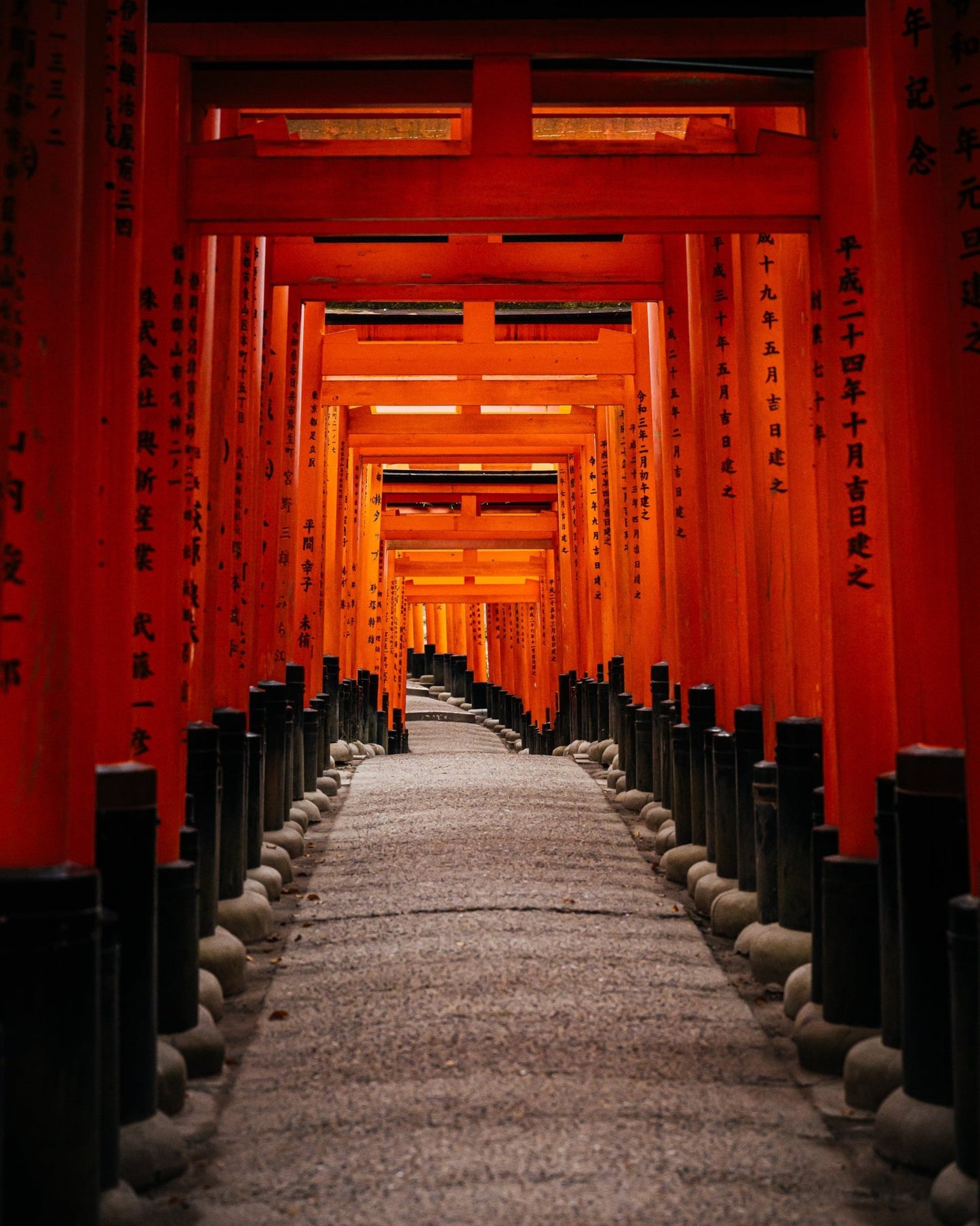Thousand Torii Gates - Allie Richards Photography