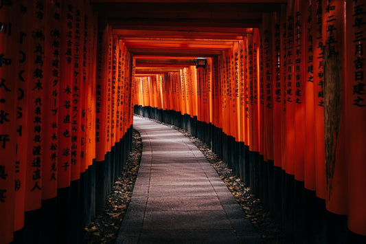 Thousand Torii Gates II - Allie Richards Photography
