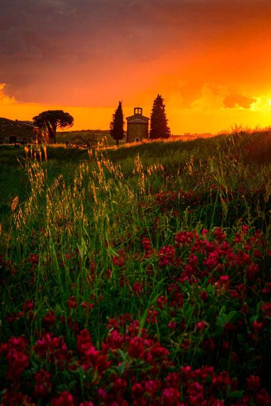 Touched by Heaven - Allie Richards Photography
