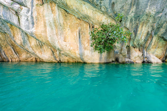 Turquoise Waters - Allie Richards Photography