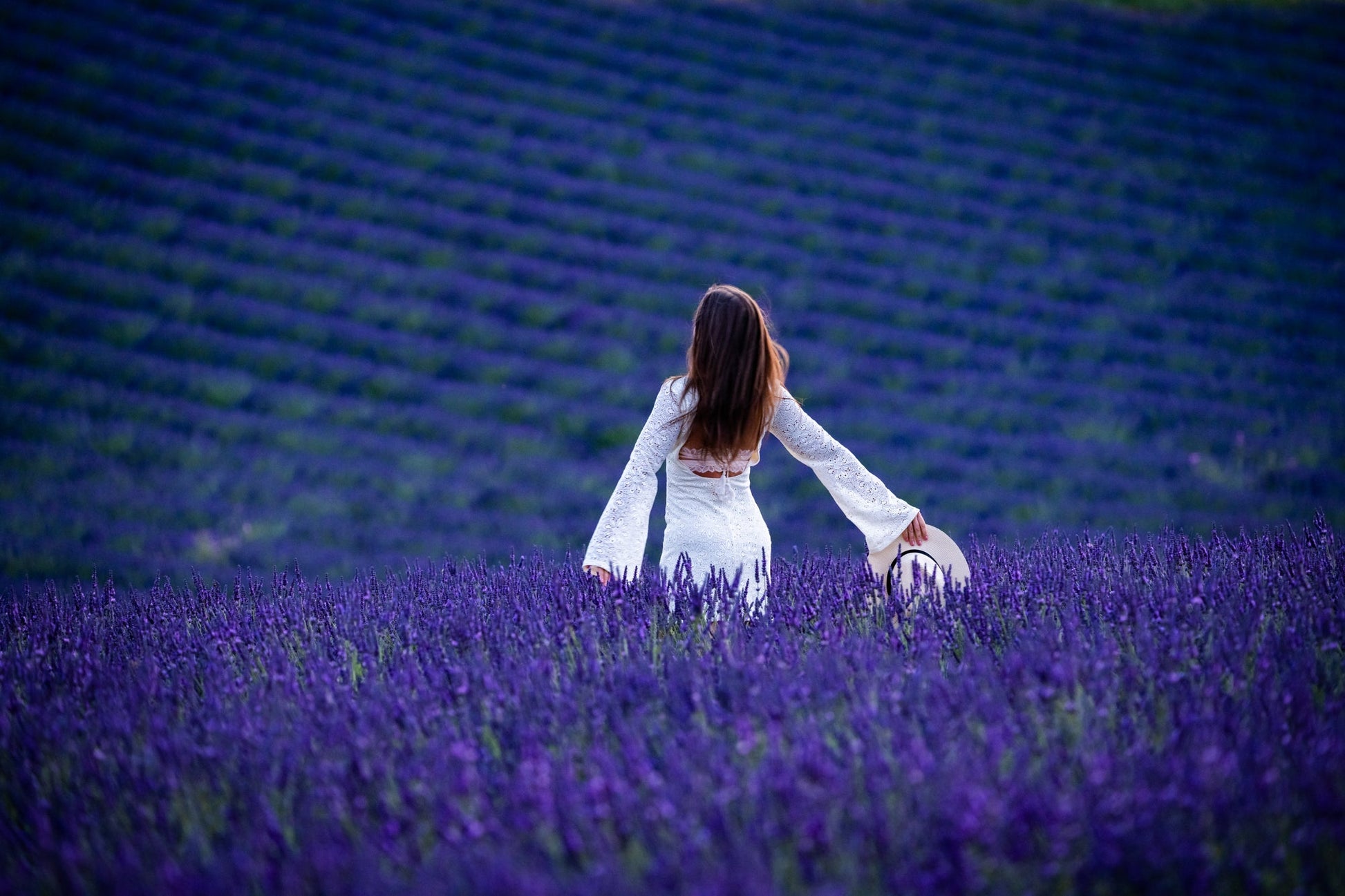 Valensole Days - Allie Richards Photography