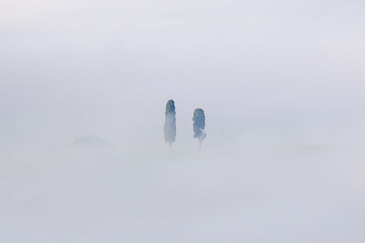Veiled Guardians - Allie Richards Photography