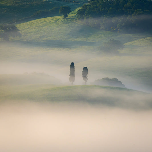 Veiled Guardians II - Allie Richards Photography