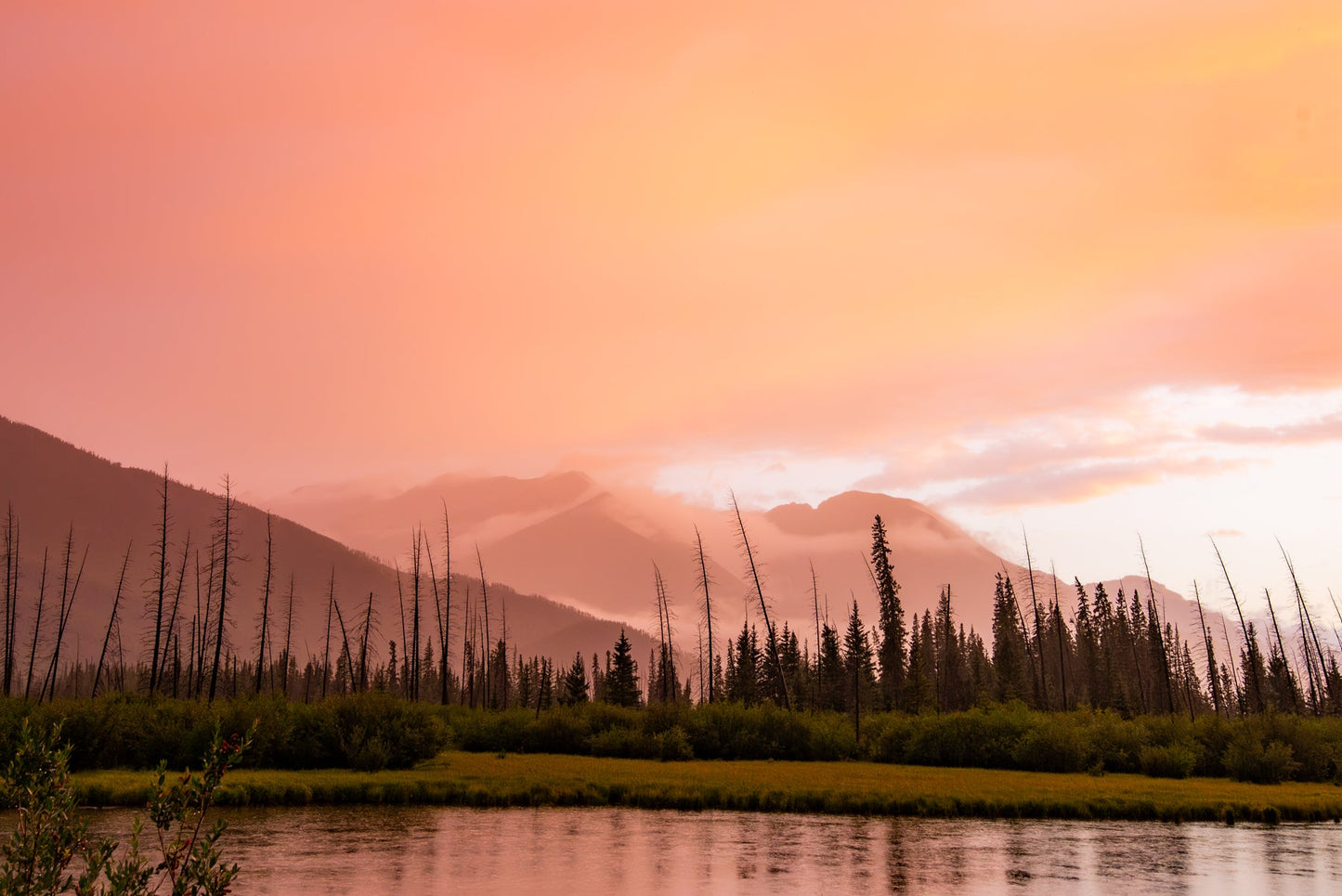 Wildfire Season - Allie Richards Photography