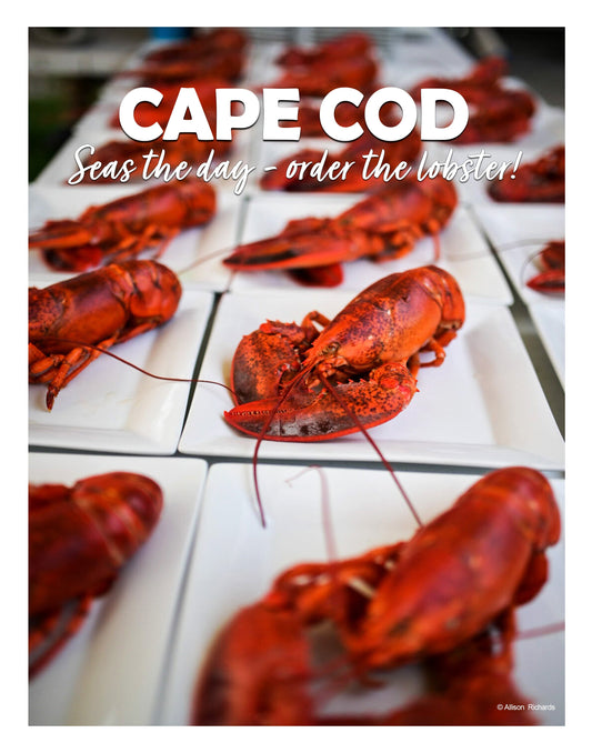 Cape Cod Lobster Poster - Allie Richards Photography