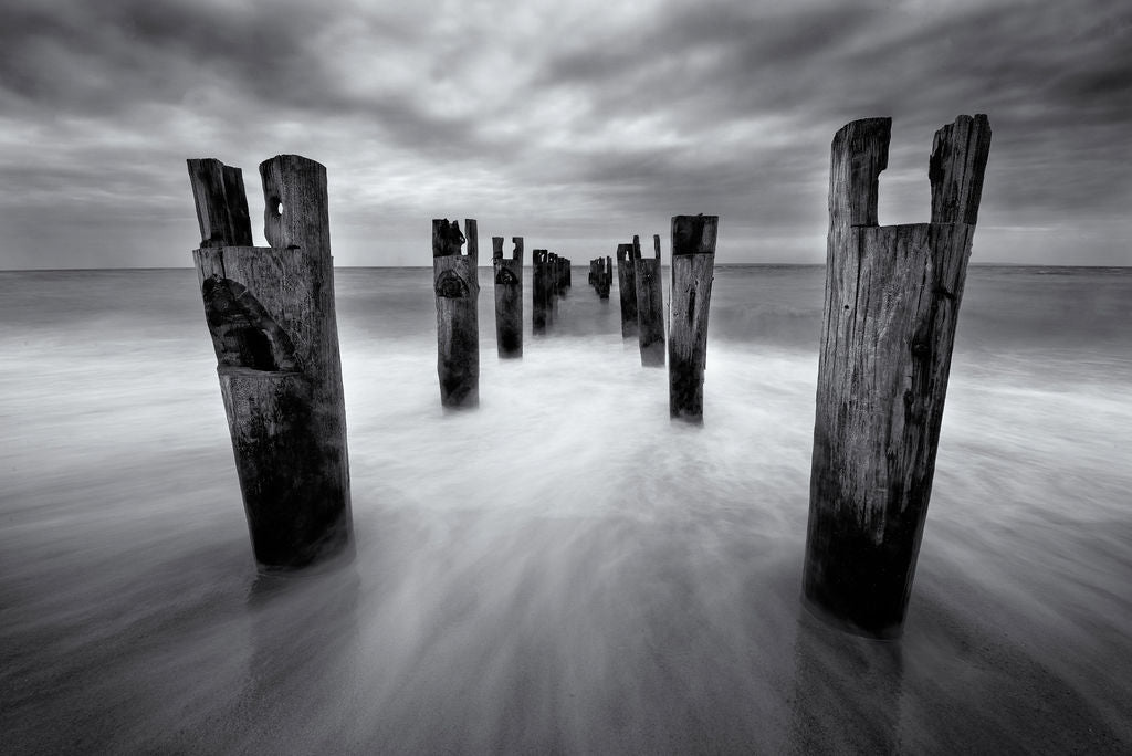 Cape Pilings BW - Allie Richards Photography