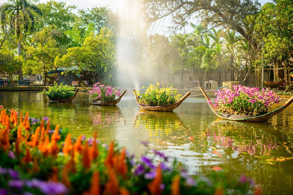 Chiang Mai Flower Festival - Allie Richards Photography