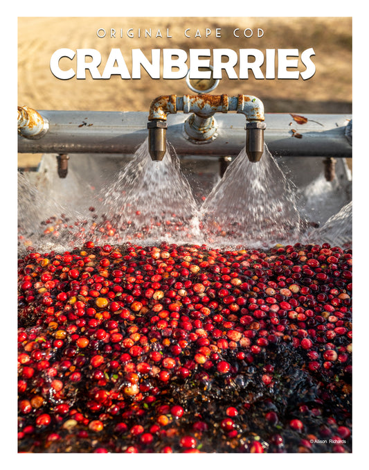 Cranberries Poster - Allie Richards Photography