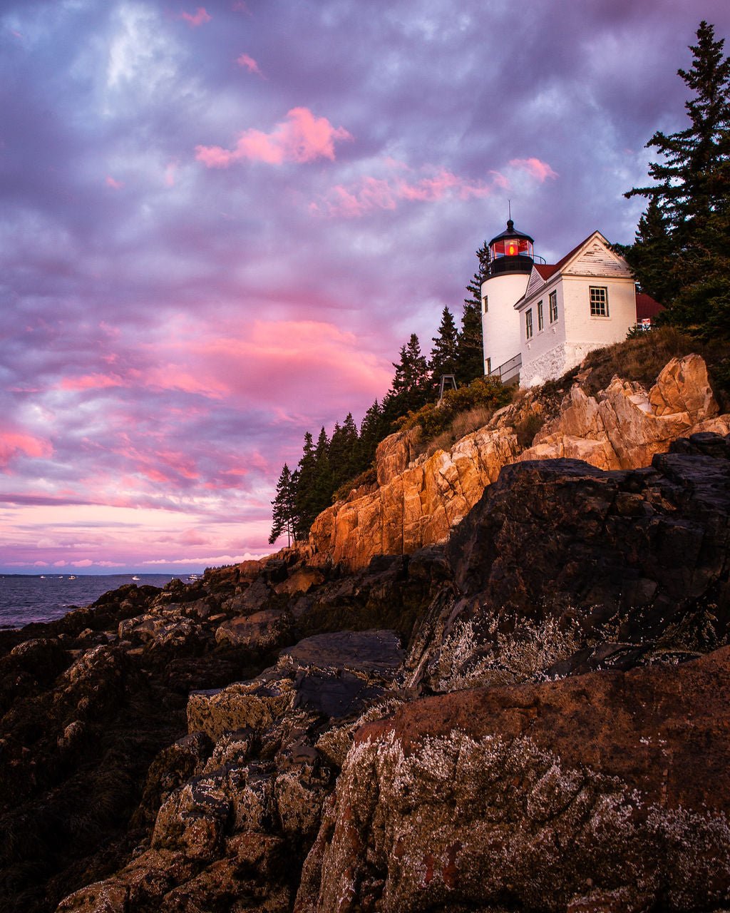 Dawn at Bass Harbor, Vertical - Allie Richards Photography