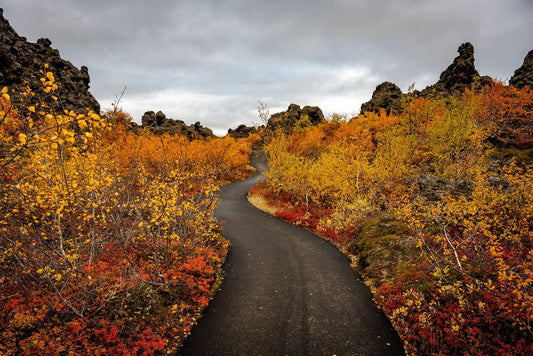 Dimmuborgir - Allie Richards Photography