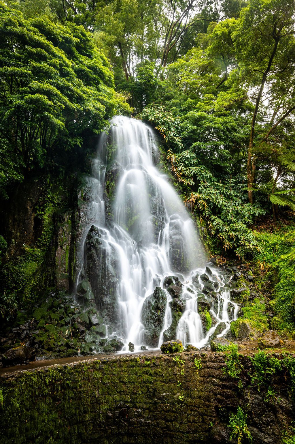 Falls of the Forest - Allie Richards Photography