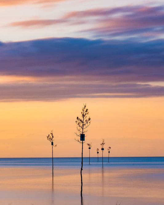 Golden Hour at Rock Harbor - Allie Richards Photography