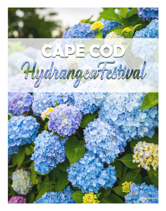 Hydrangea Festival Poster - Allie Richards Photography