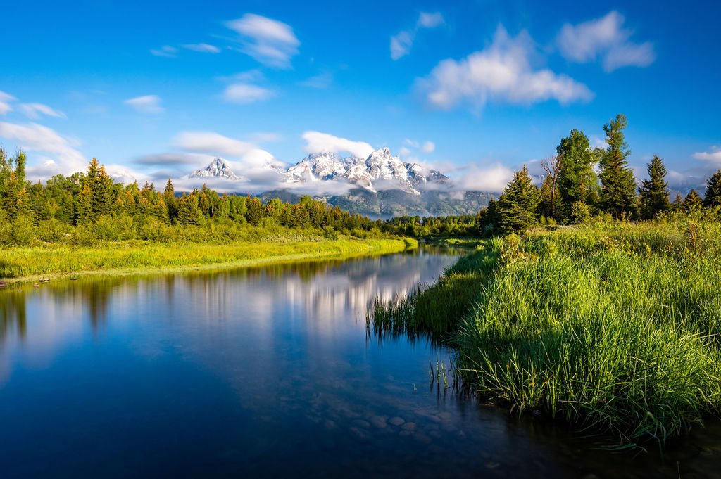 Morning in the Tetons - Allie Richards Photography