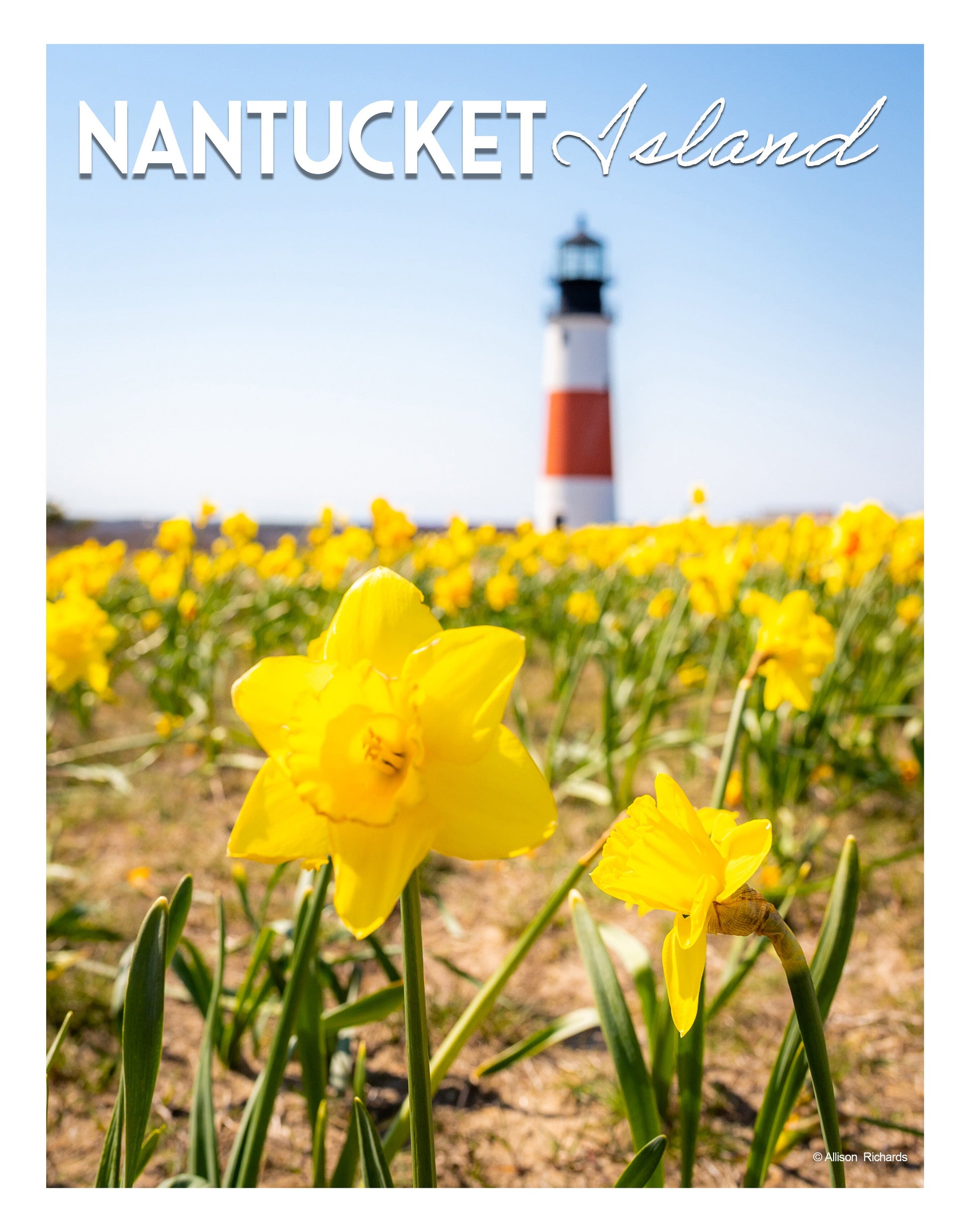 Nantucket Island Poster - Allie Richards Photography