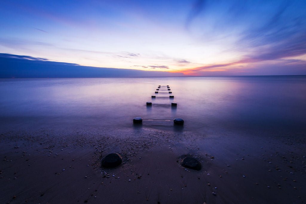 Pilings - Allie Richards Photography