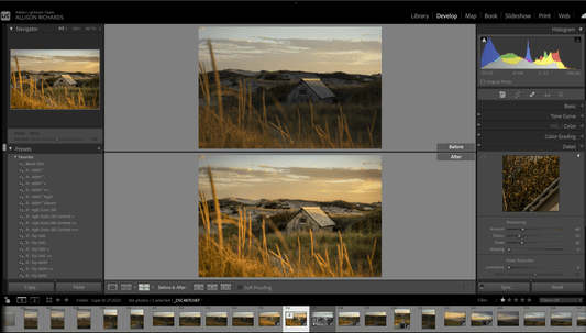 Post-Processing, Editing & Using Lightroom Session - Allie Richards Photography