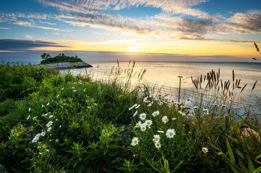 Summer Evening at the Knob - Allie Richards Photography