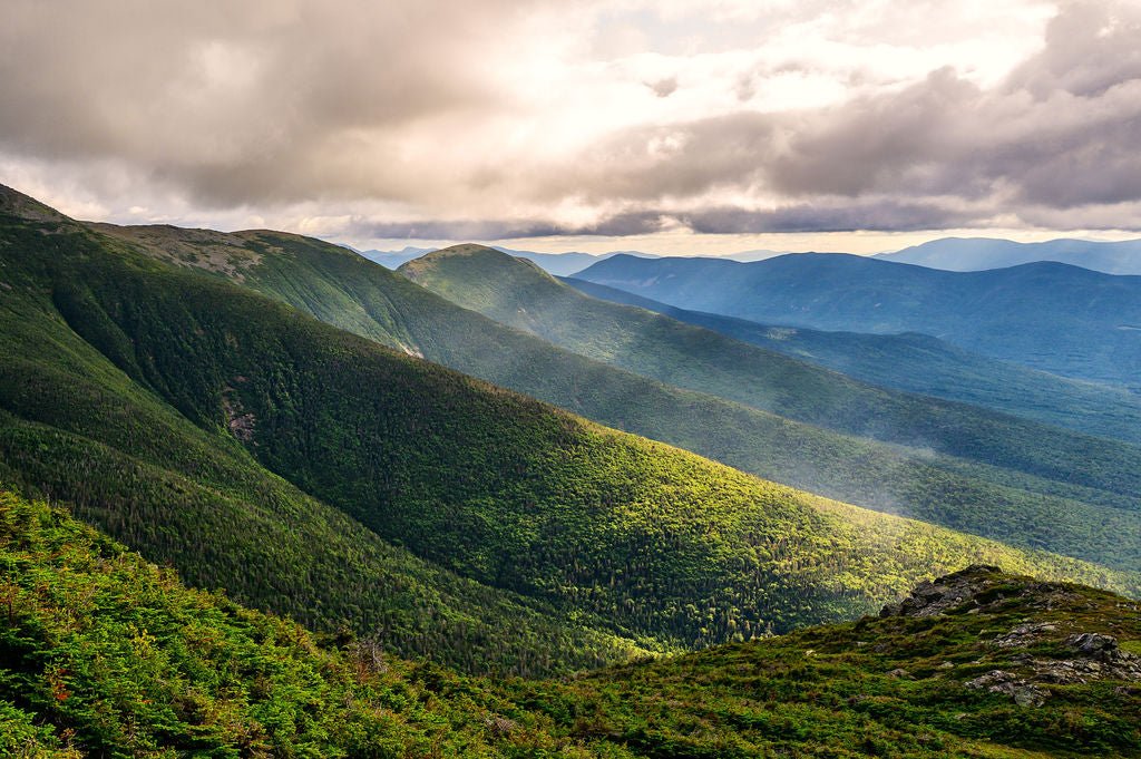 The Presidentials - Allie Richards Photography