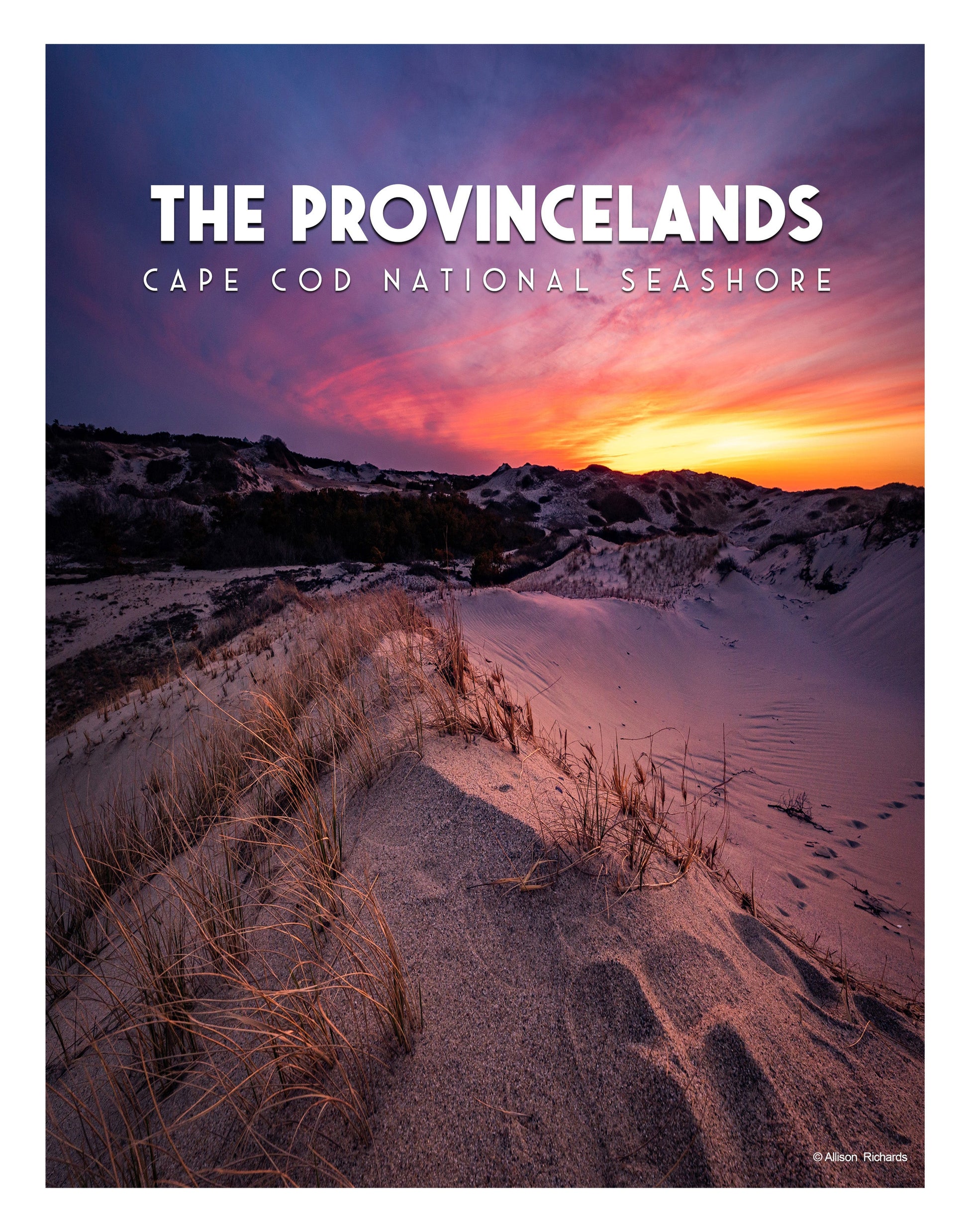 The Provincelands Poster - Allie Richards Photography