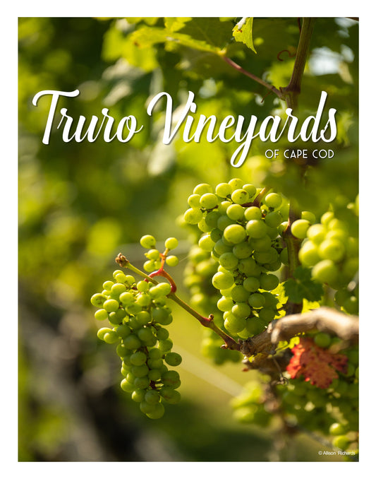 Truro Vineyards Poster - Allie Richards Photography